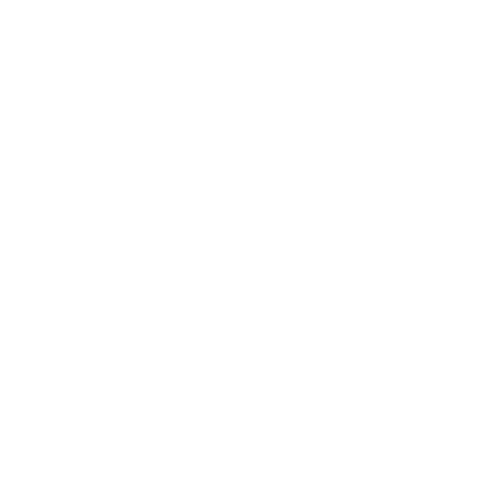 Bryan University